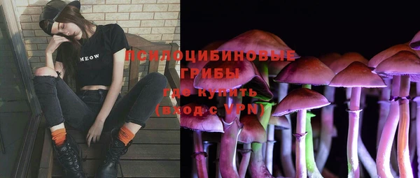 PSILOCYBIN Беломорск