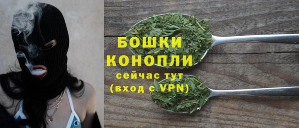 PSILOCYBIN Беломорск