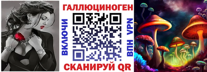 Купить закладки  Топки  Галлюциногенные грибы MAGIC MUSHROOMS 