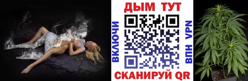 Купить  Топки  Шишки марихуана SATIVA & INDICA 